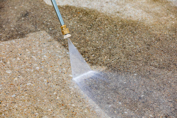 Professional Pressure Washing in Petersburg, WV